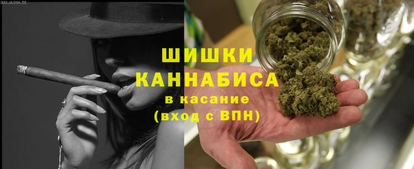 хмурый Вяземский