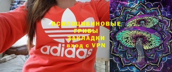 хмурый Вяземский