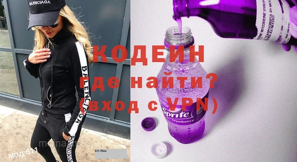 хмурый Вяземский