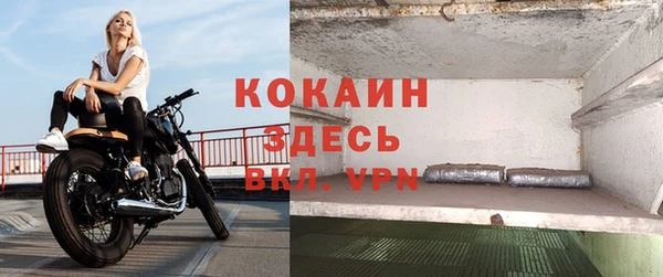 хмурый Вяземский